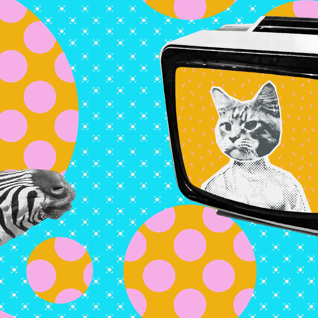 panorama ano que nasceu